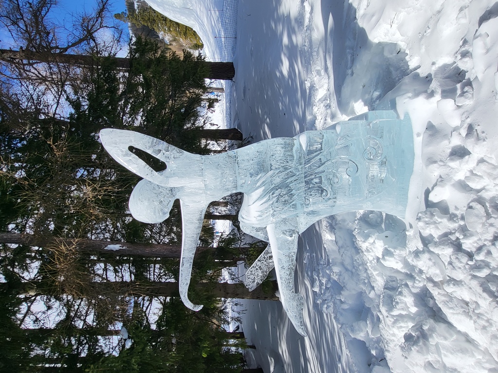 Zdjęcie rzeźby z lodu