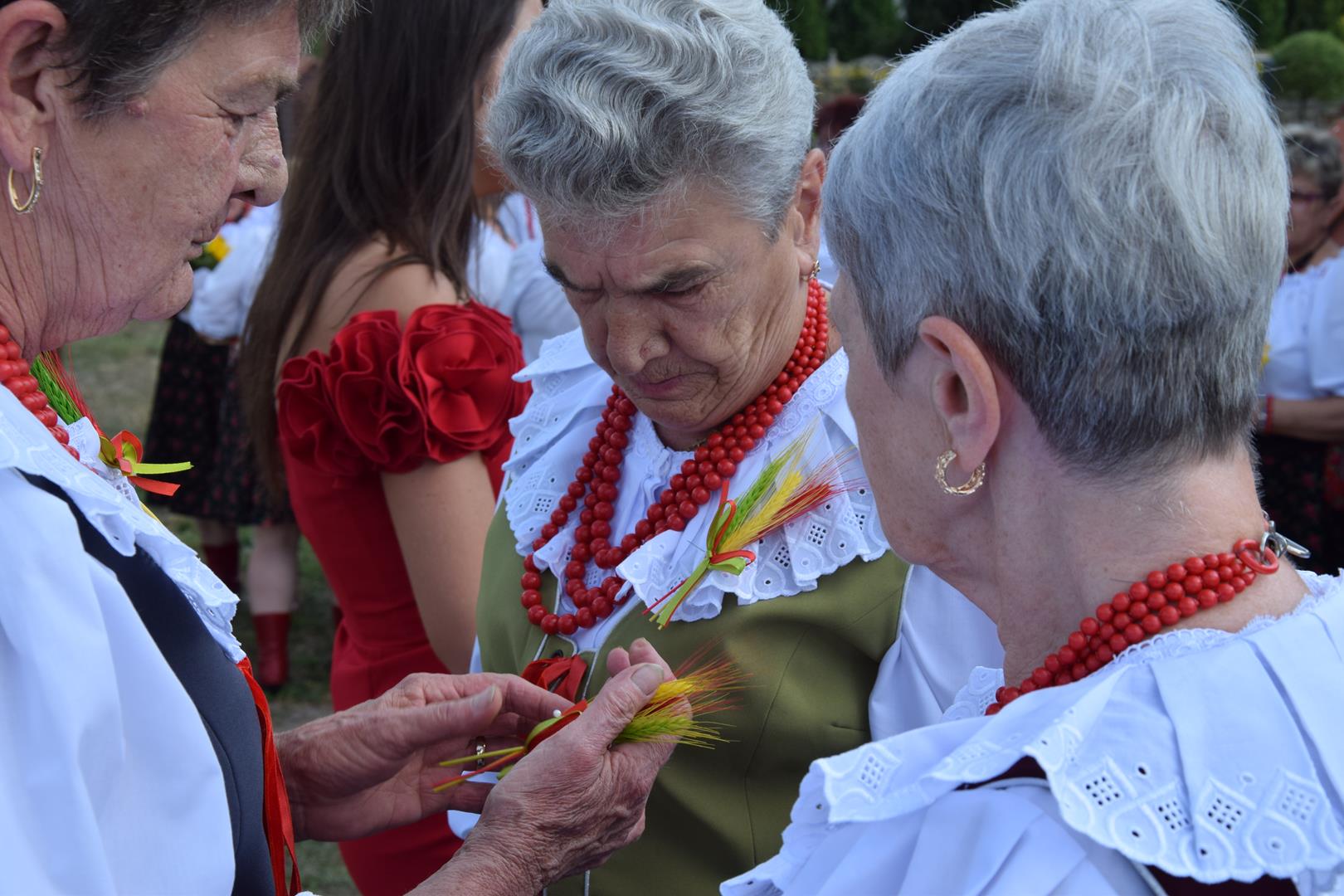 Zdjęcie przedstawia kobiety w strojach ludowych przypinające kłosy dożynkowe