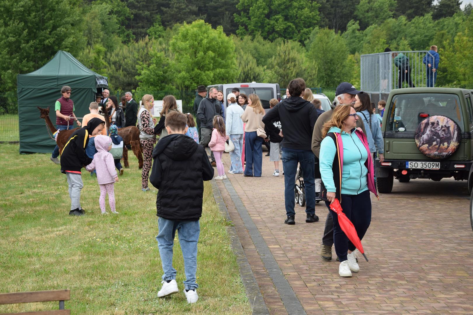 Zdjęcie przedstawia przechadzających się ludzi na pikniku z okazji Dnia Dziecka