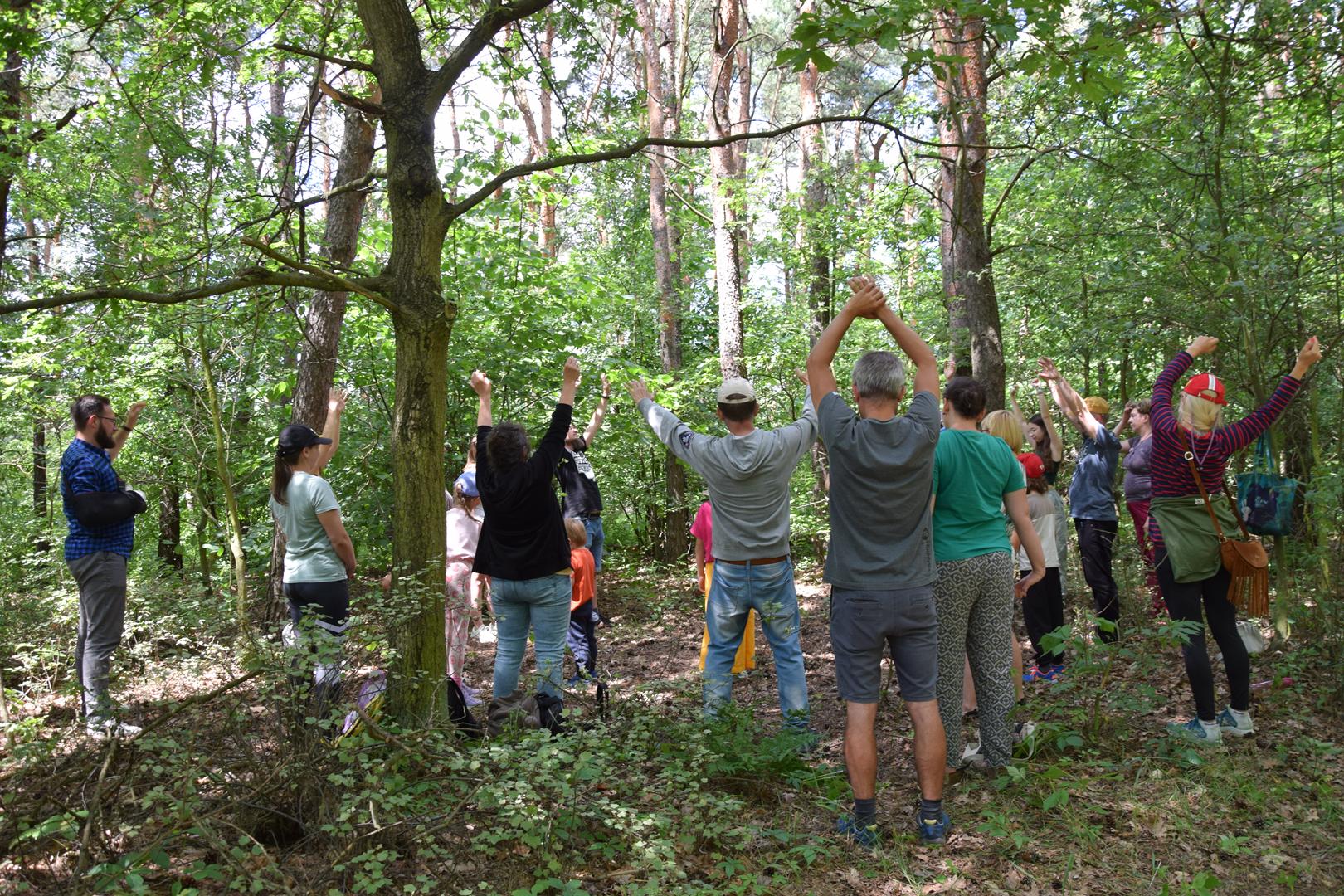 Zdjęcie przedstawia fragment warsztatów Leśna Kąpiel
