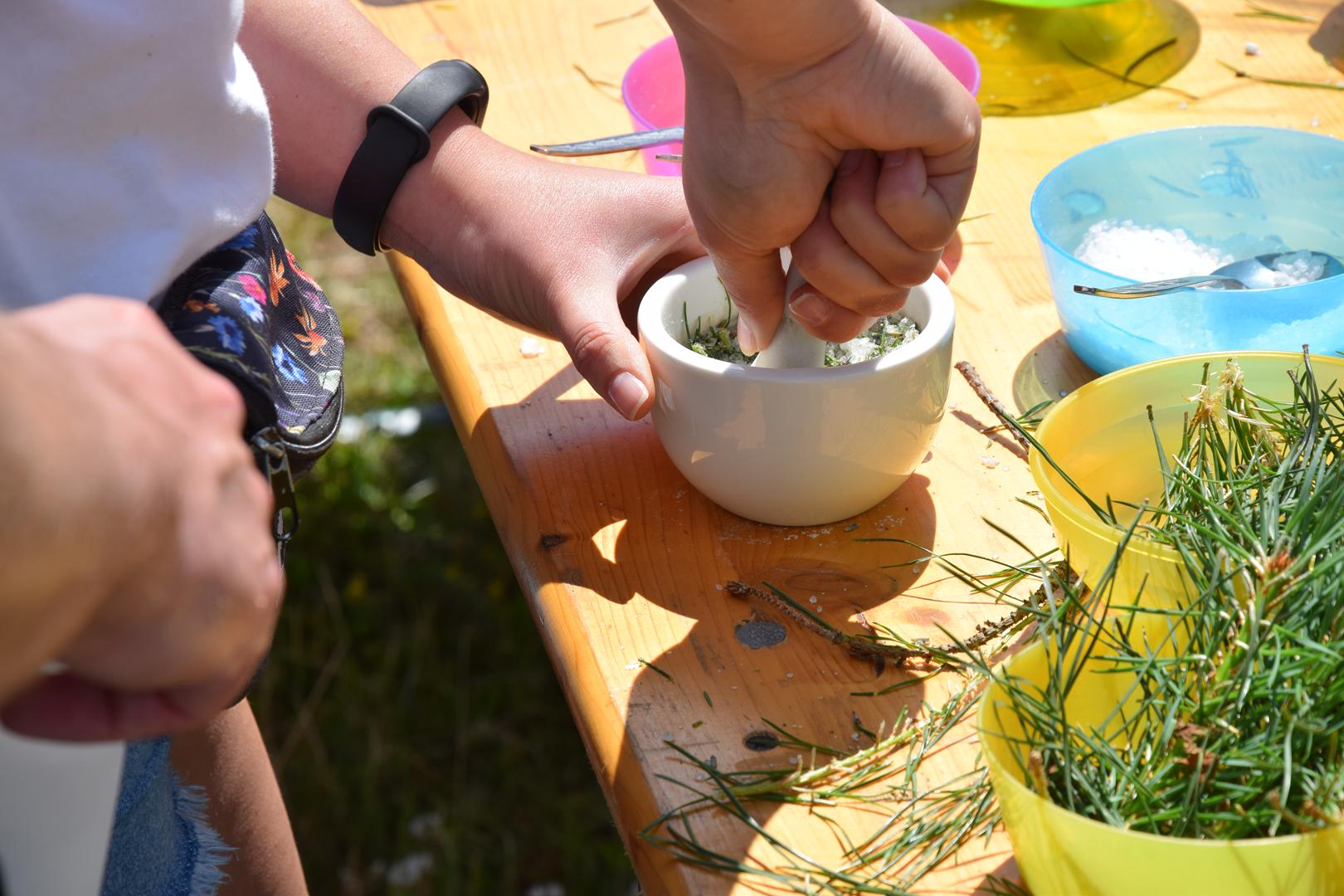 Zdjęcie przedstawia fragment warsztatów Leśna Kąpiel - wykonanie soli sosnowej do kąpieli