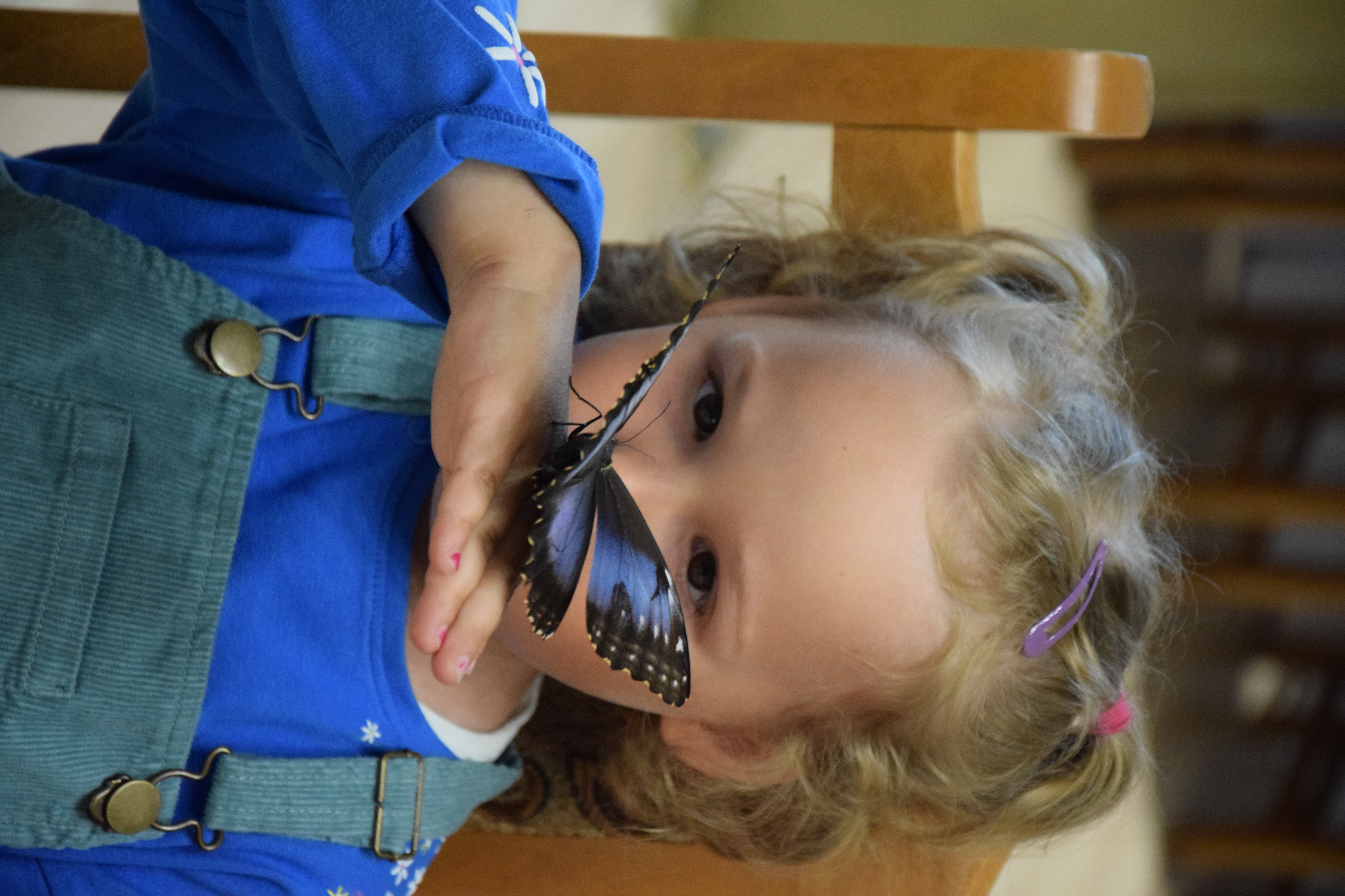 Zdjęcie przedstawiające dziewczynkę z motylem na dłoni