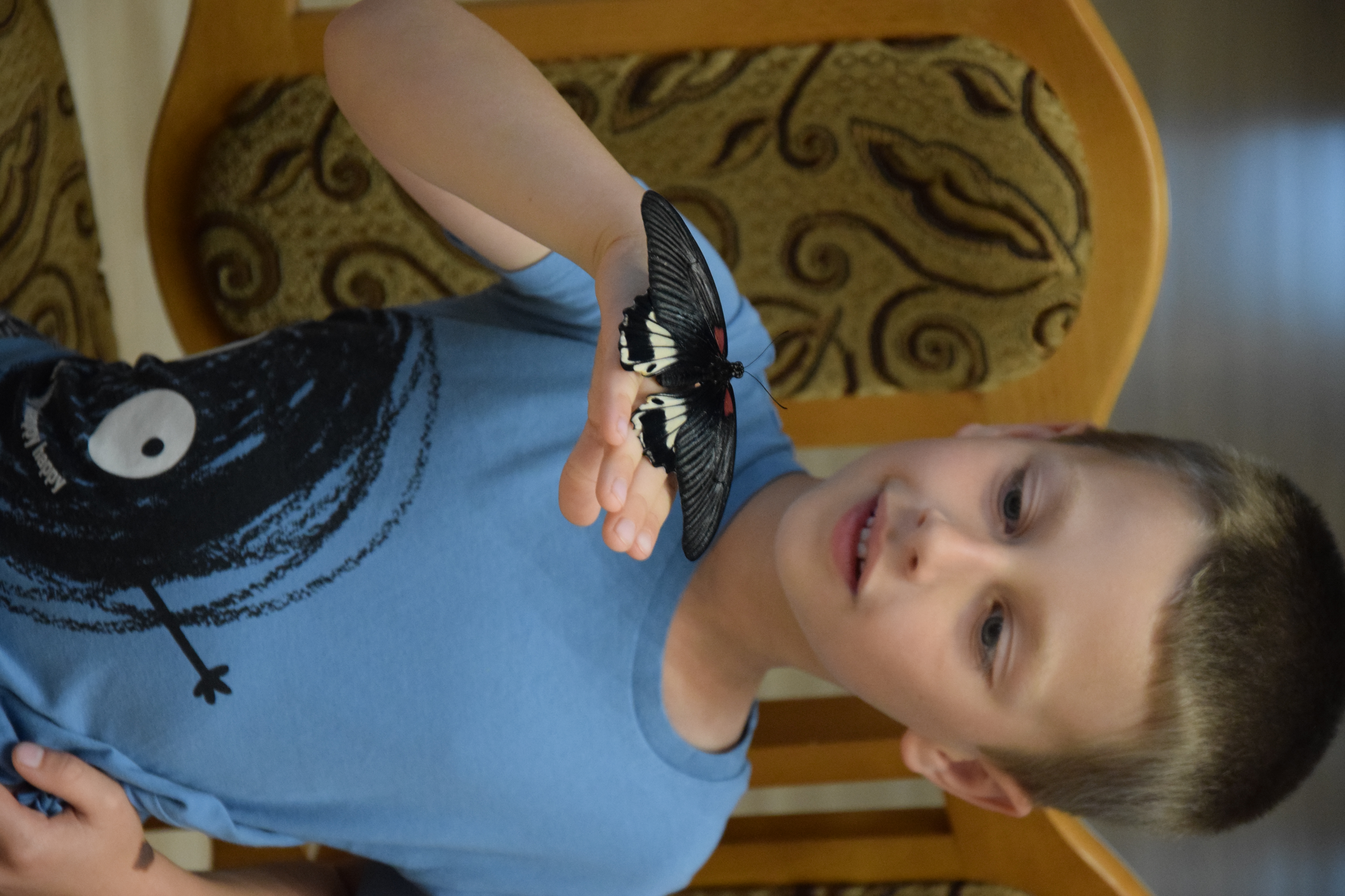 Zdjęcie przedstawiające chłopca z motylem na głowie