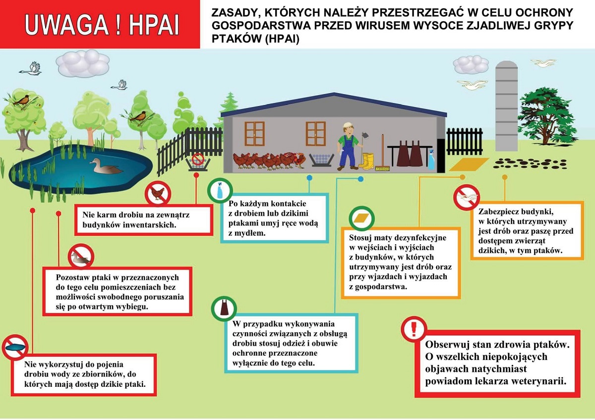 Ulotka informacyjna - prewencja i zwalczanie wirusa ptasiej grypy